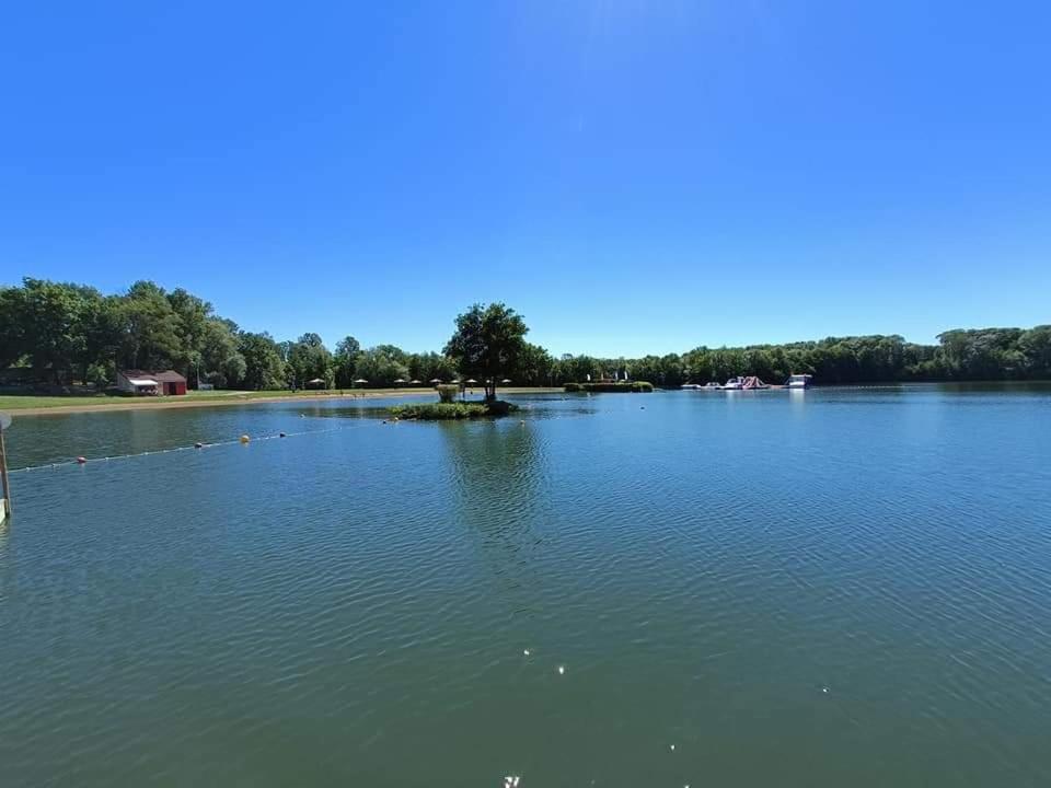 Les Fontaines Villa Laives Bagian luar foto